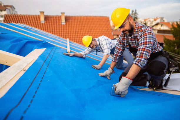 Roof Insulation in Sand Lake, MI