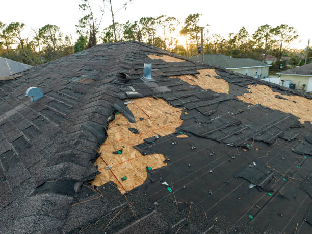 Best Slate Roofing  in Sand Lake, MI