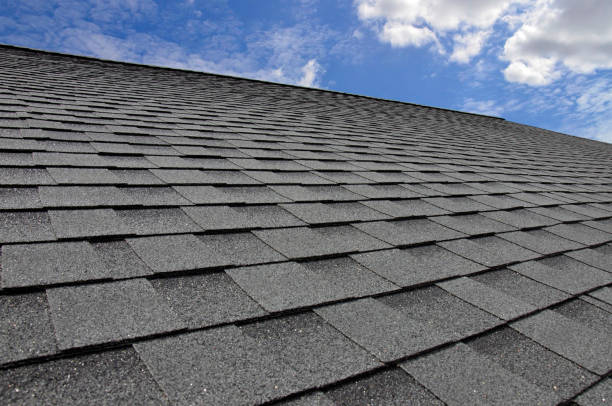 Best Skylight Installation and Repair  in Sand Lake, MI